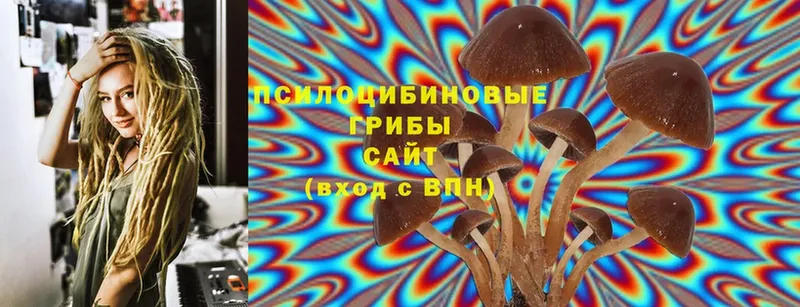 это телеграм  Малая Вишера  Псилоцибиновые грибы Psilocybine cubensis  blacksprut зеркало 